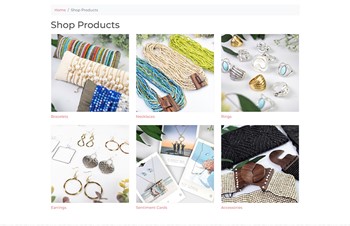 B2B Ecommerce Website by Speartek